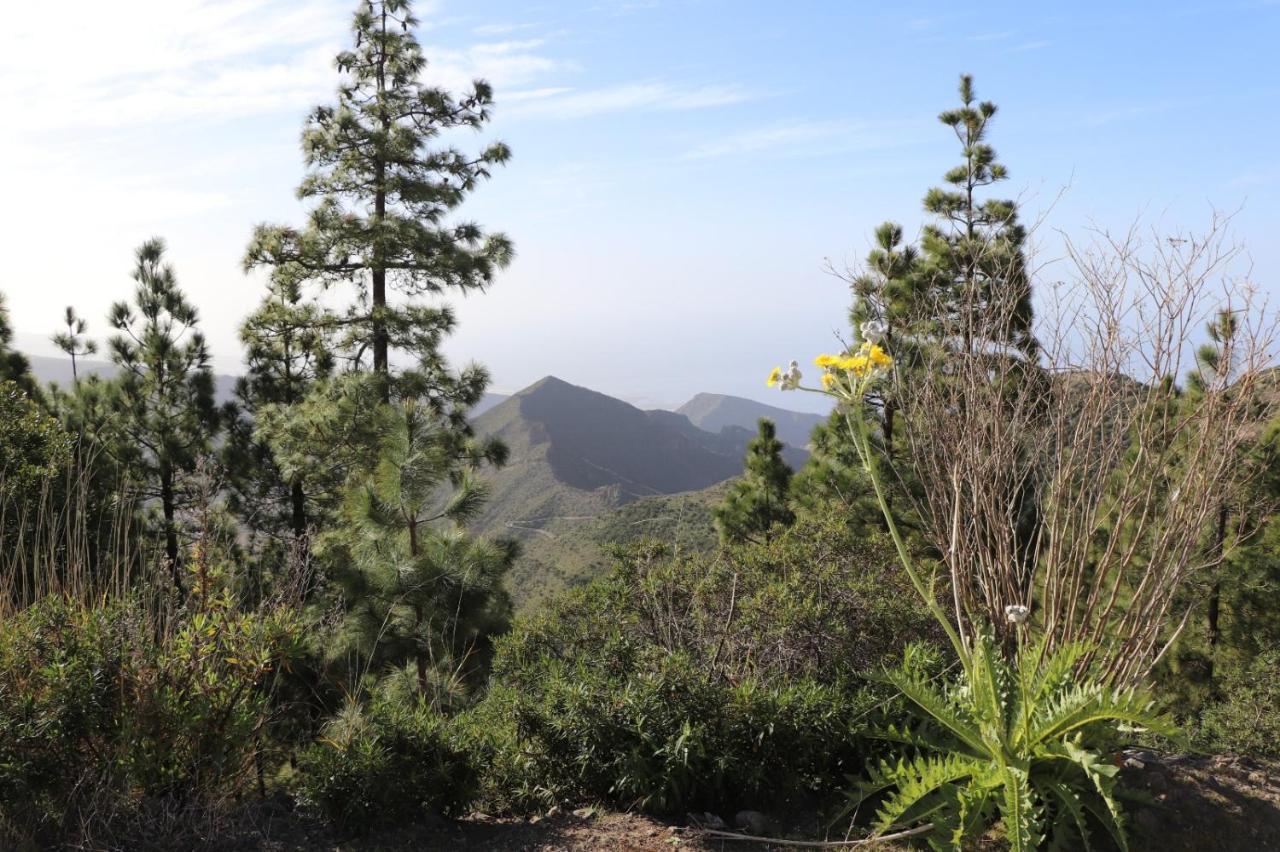 Traditional Canarian Home With Fantastic View Santiago del Teide Extérieur photo